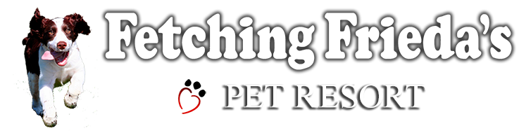Fetching Frieda's Pet Resort